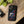 Load image into Gallery viewer, Additional view of Torque Imports Phone Case
